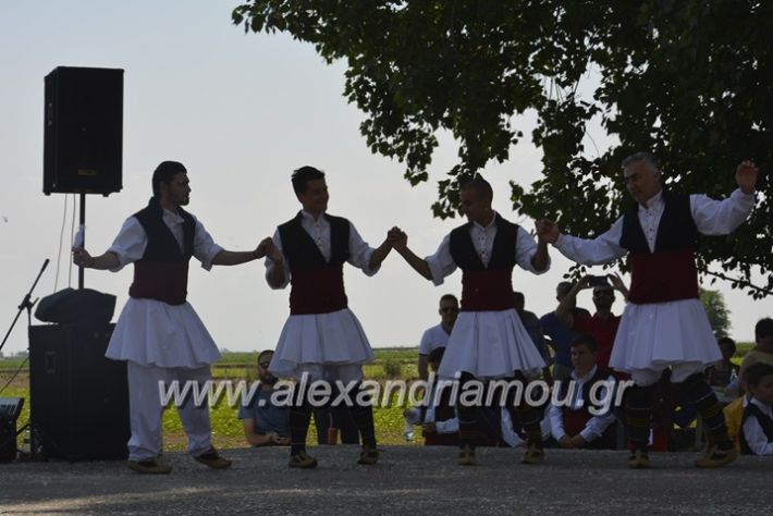 alexandriamou.gr_trikala28.5.2018052